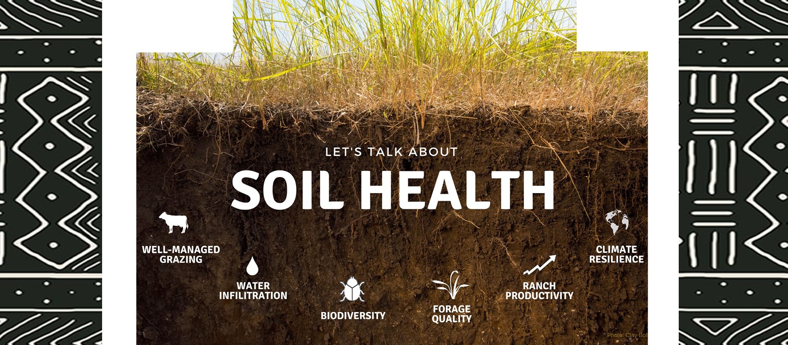 many-factors-influence-interpretation-of-soil-health-tests-the-till